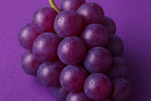 グッドカラー2026パープル　ポスター対象