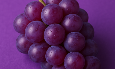 グッドカラー2026パープル　ポスター対象